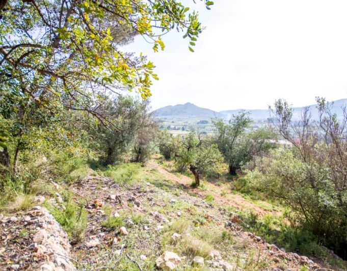 Parcela en Murla con bonitas vistas
