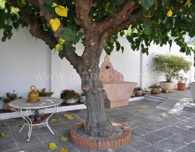 Villa en venta en Xàtiva