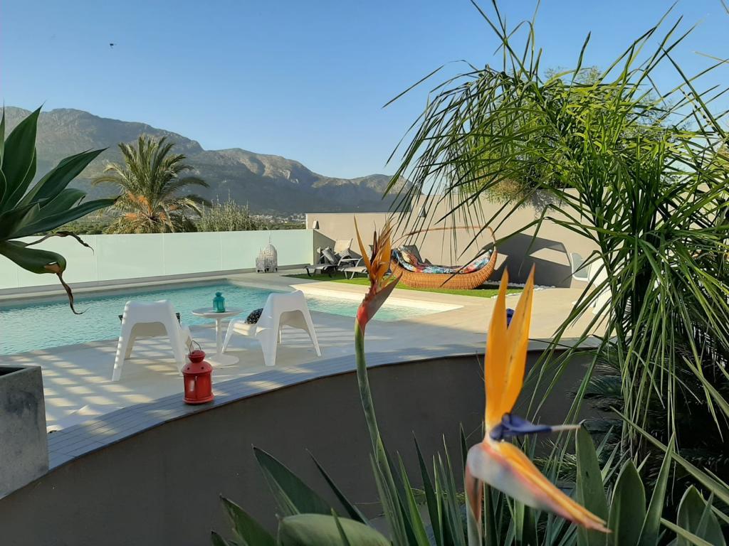 Cómo Encontrar tu Villa Ideal en Orba