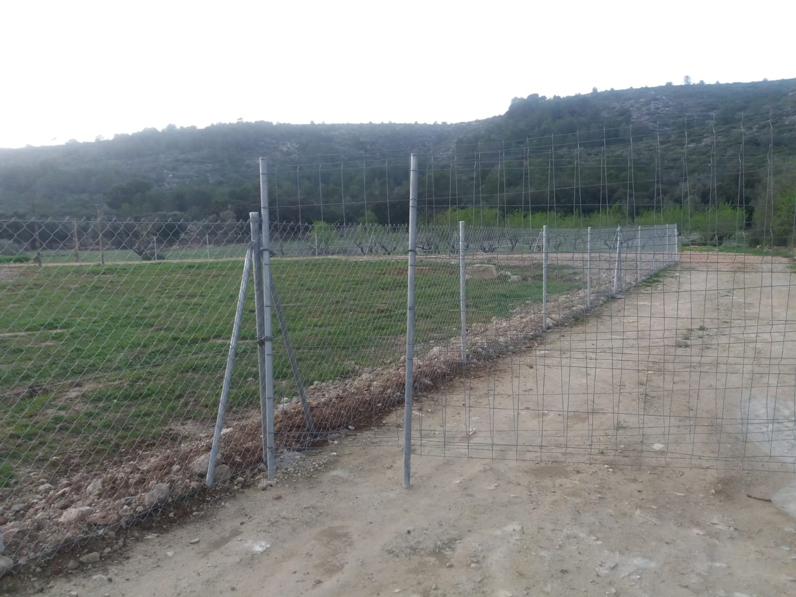 Grundstück zum Verkauf in Alcalalí