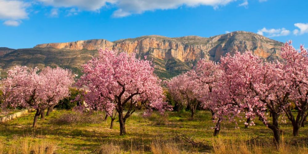 Donde vivir en el Valle de Jalón