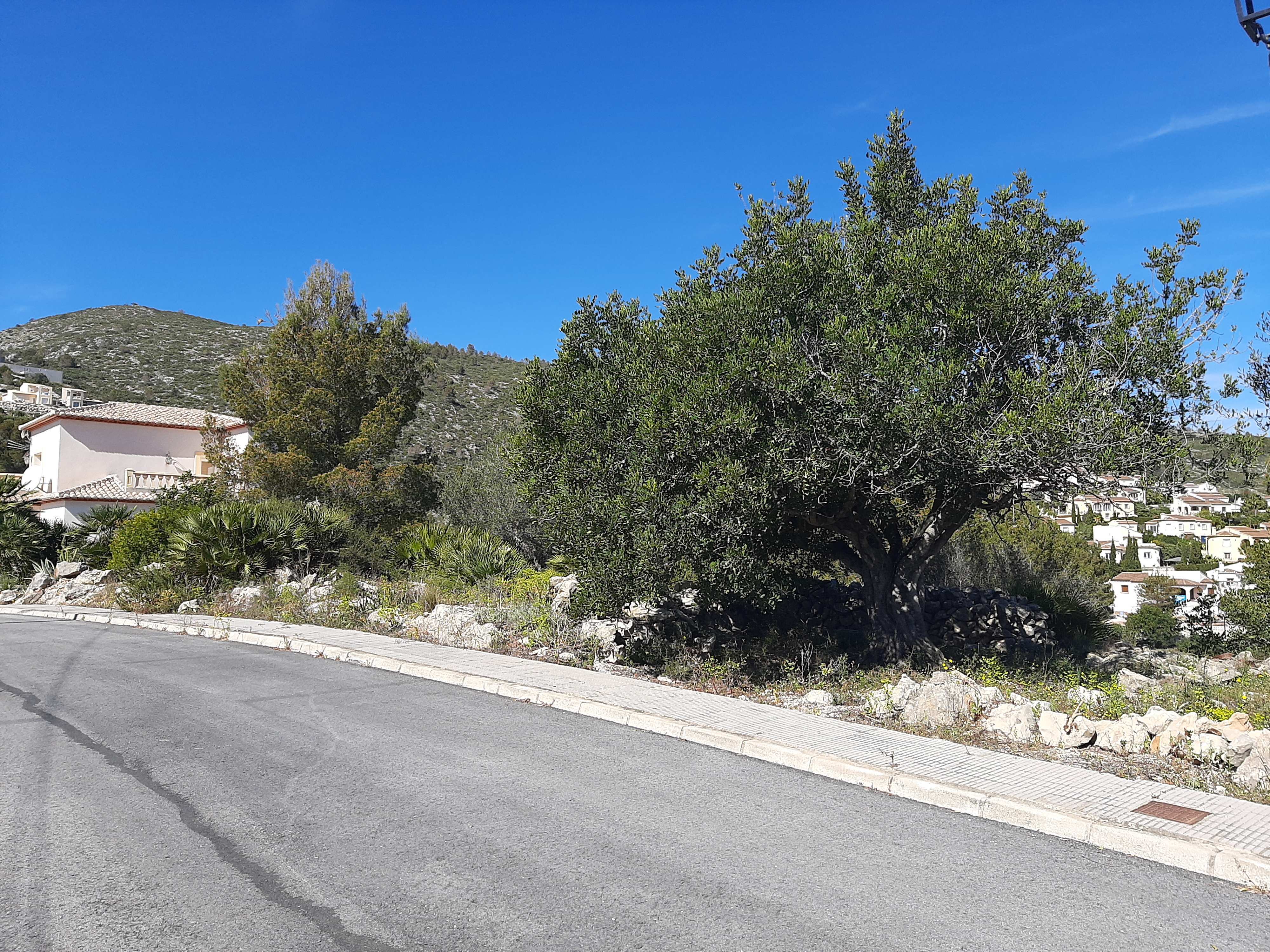 LS-15G9MCU - Terreno en venta en Alcalalí