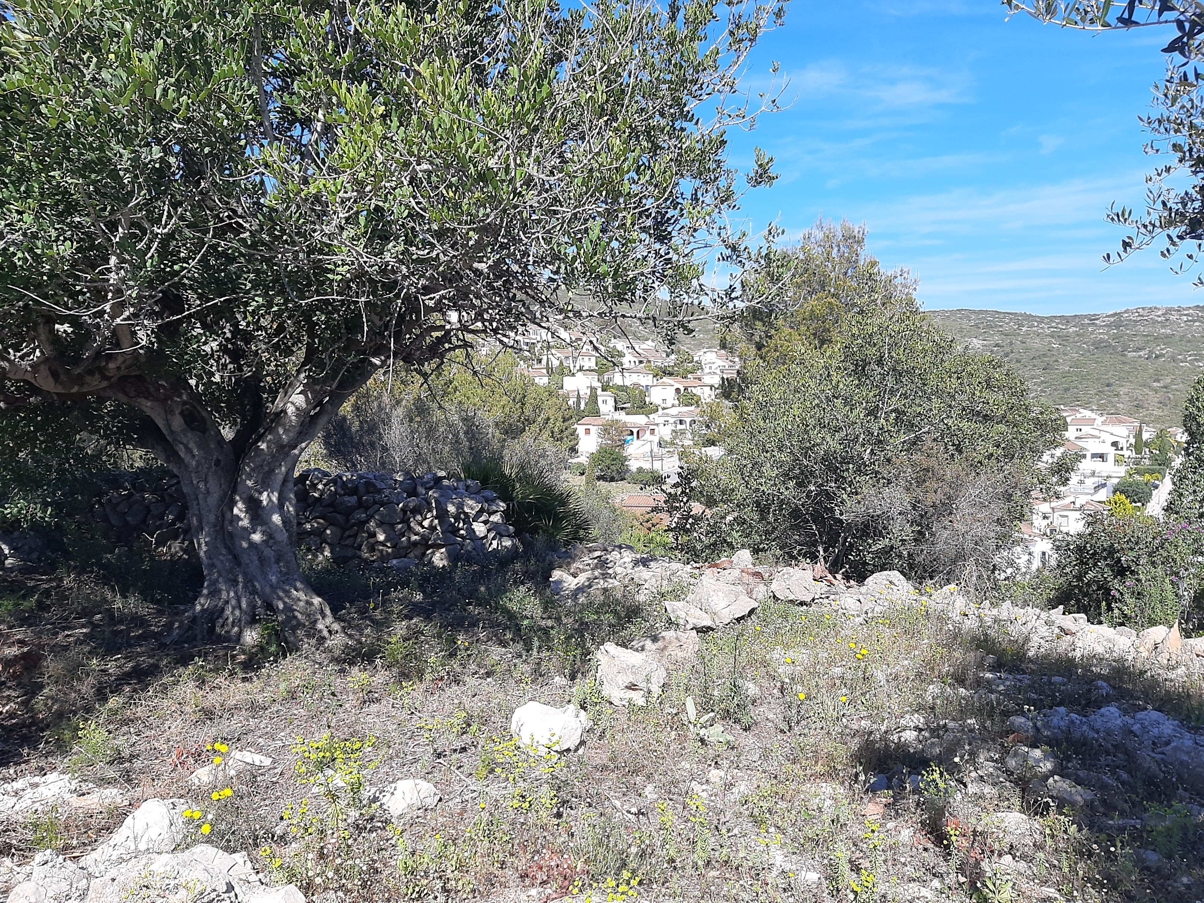 LS-15G9MCU - Terreno en venta en Alcalalí