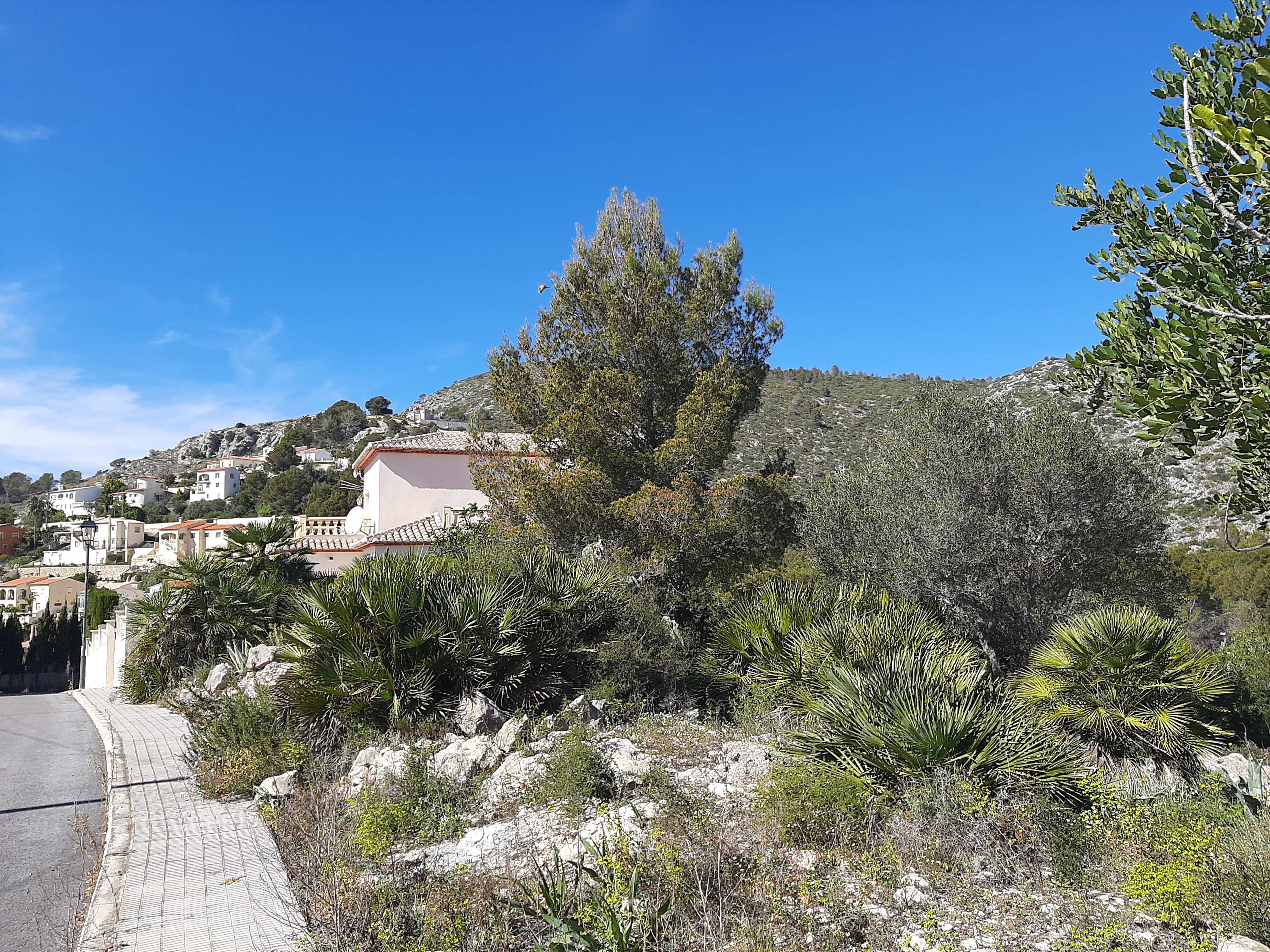 LS-15G9MCU - Terreno en venta en Alcalalí