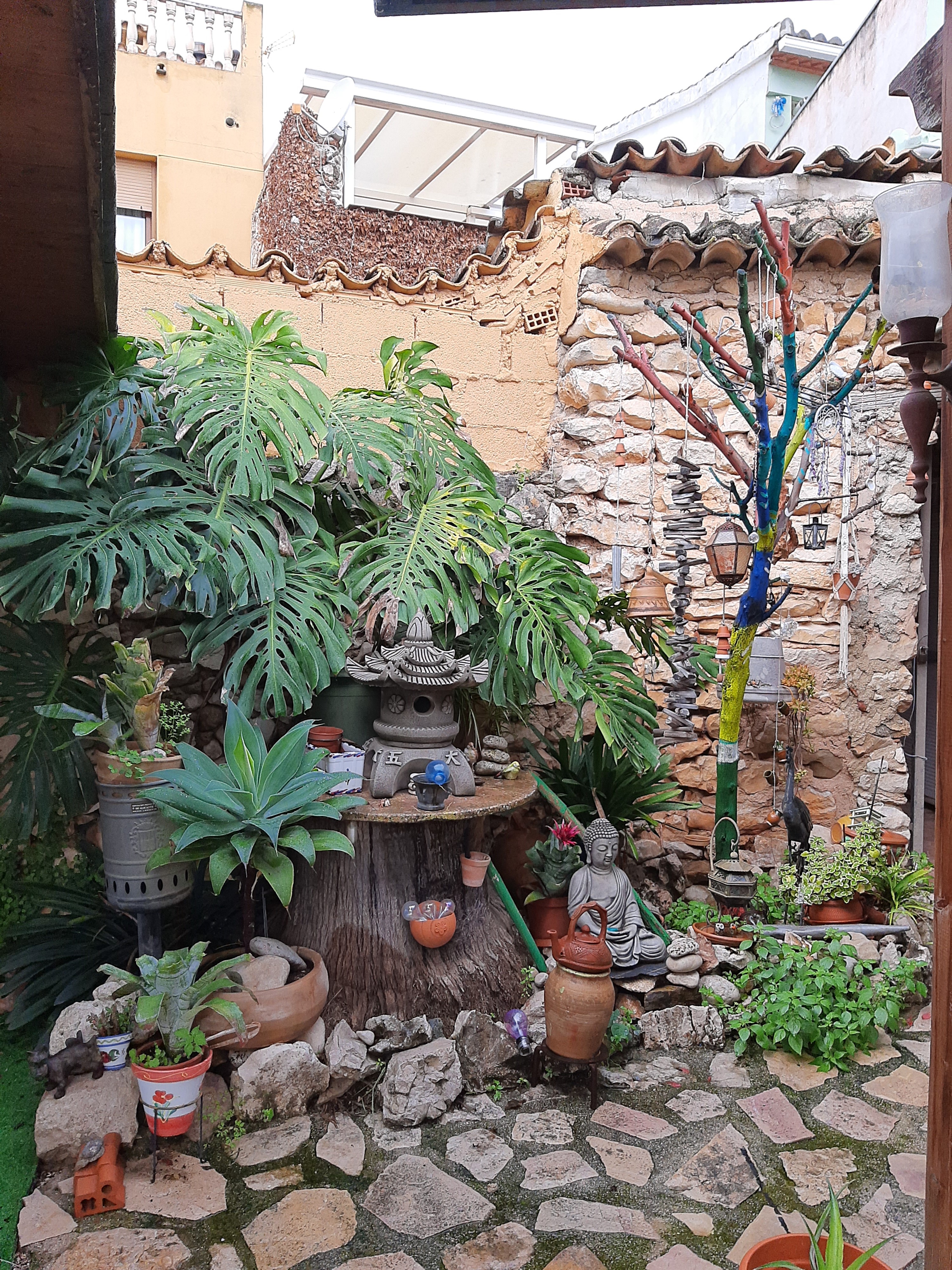 Village house with beautiful garden in Sagra